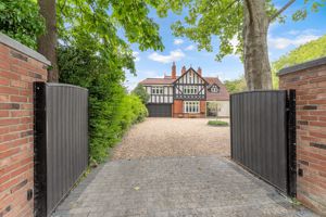 Photo 42- click for photo gallery